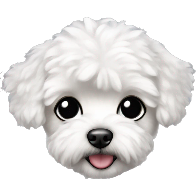 White maltipoo with black ears emoji