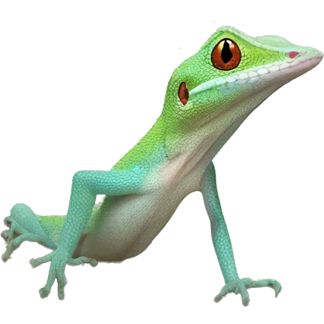 pigmy anole emoji
