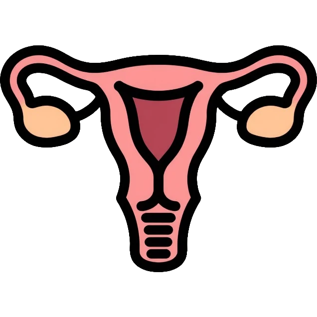 simple medical diagram of male reproductive anatomy, tasteful, anatomical emoji