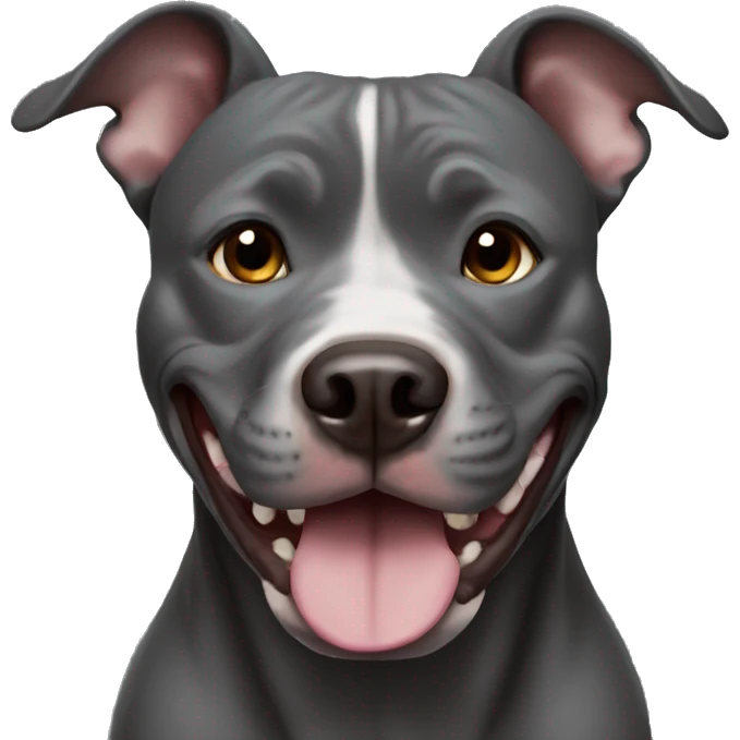 Dark grey pitbull smiling emoji