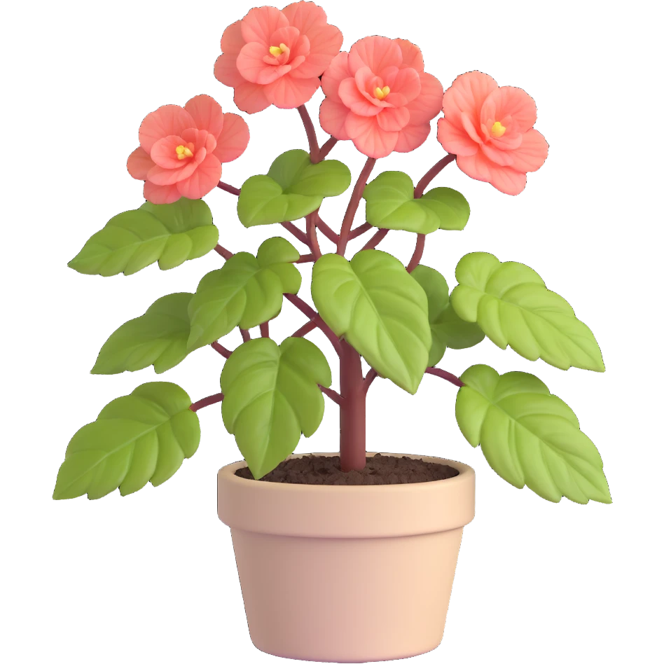 Begonia Rex plant in a beige pot with spiral leaf pattern emoji