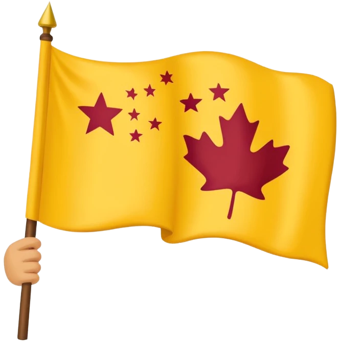 Chinar flag it has 80,000 stars and a hand emoji
