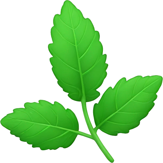 mint leaf simplistic sty emoji