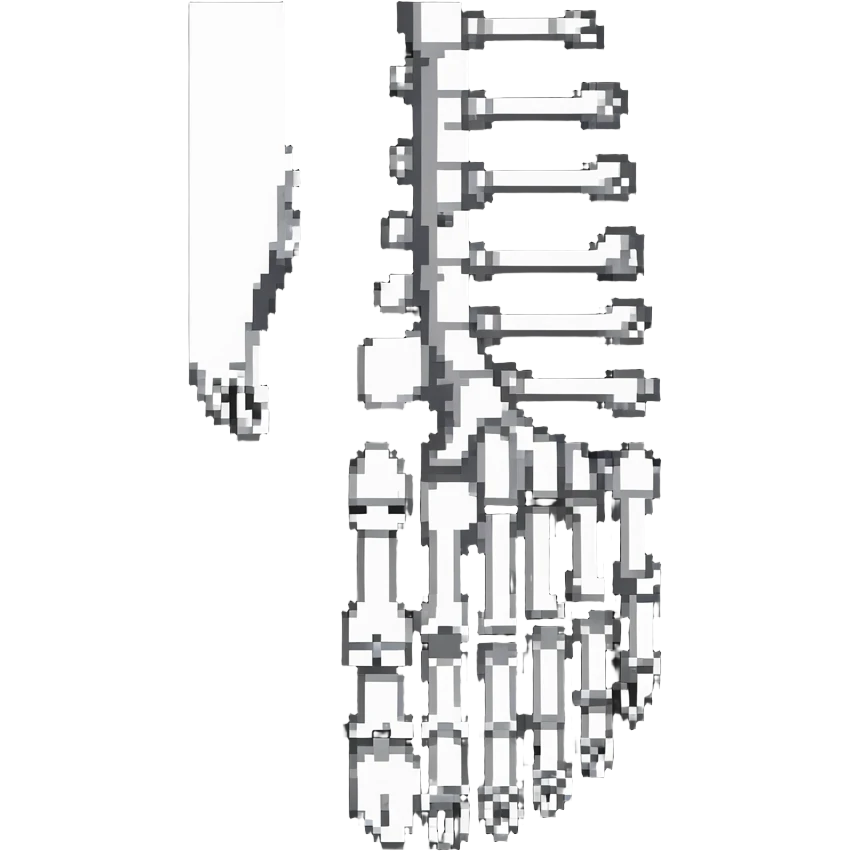skeleton foot, bones of human foot, anatomical foot bones emoji