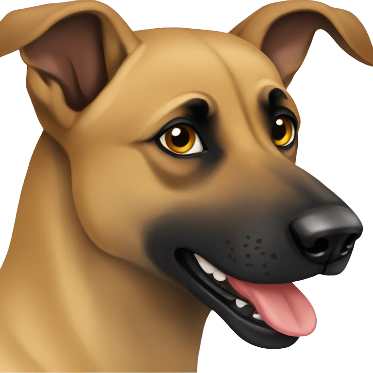malinois peur  emoji