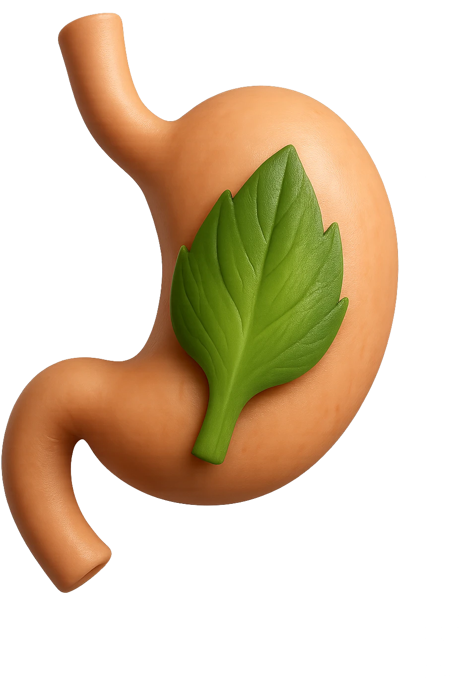 emoji stile iphone 3d di uno stomaco umano con una foglia di carciofo dentro, iperrealistico 4k emoji