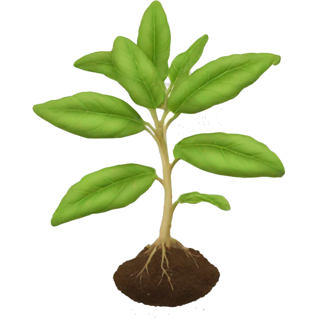 ashwagandha plant emoji