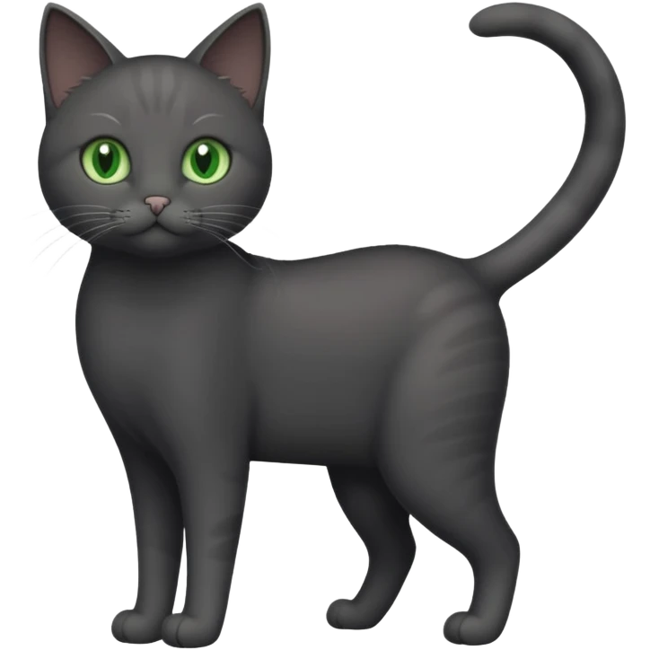 full body solid dark grey cat with green eyes, white paws and white whiskers emoji