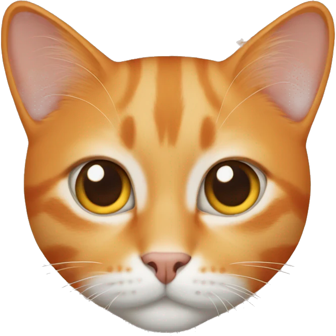 Orange cat with brown eyes emoji