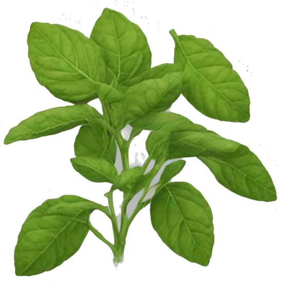 bergamot emoji