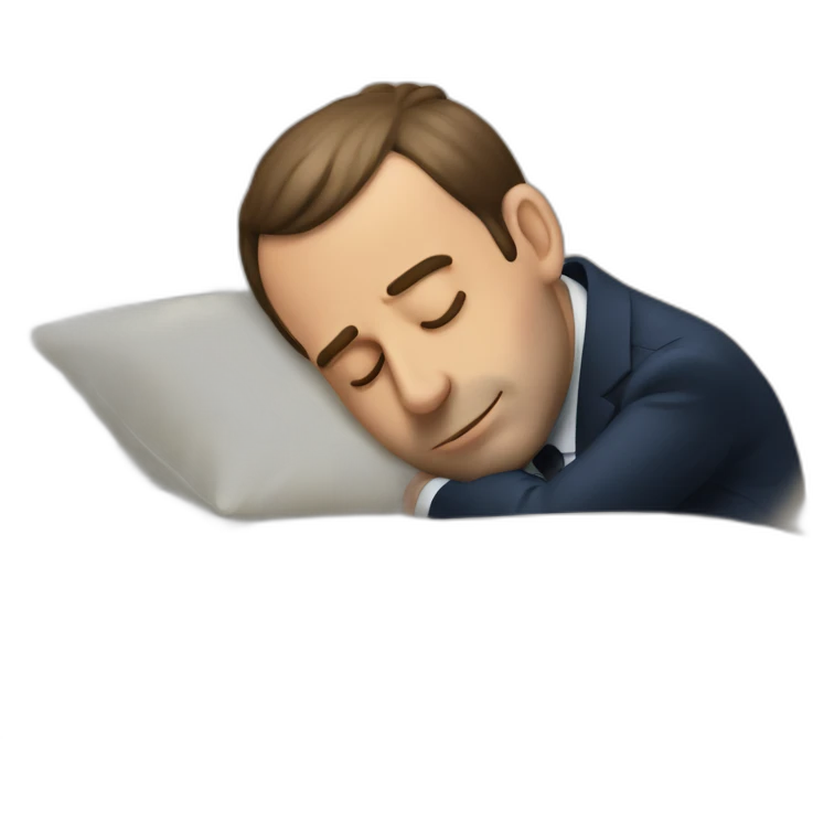 Emanuel macron sleeping emoji