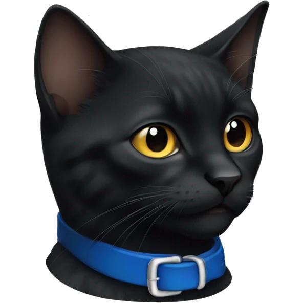 Black cat with blue collar emoji