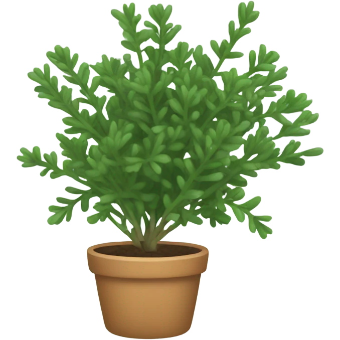 thyme emoji
