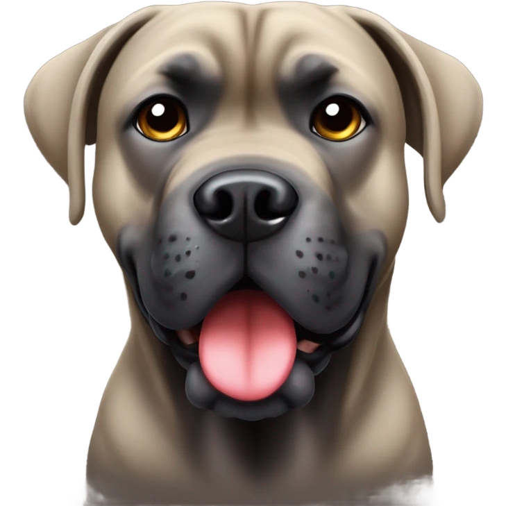 A Cane Corso in love. emoji