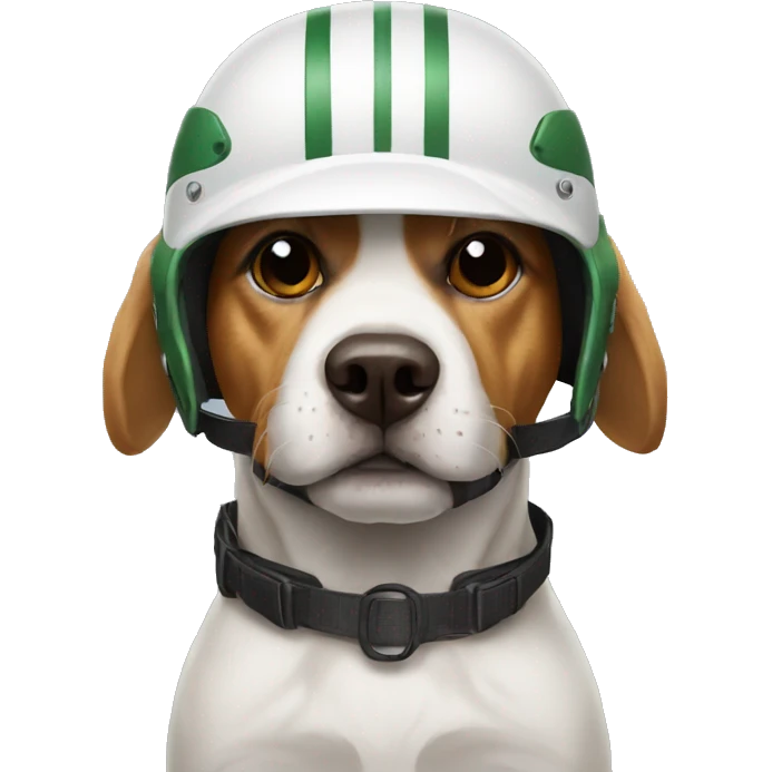 Dog wearing cricket helmet  emoji
