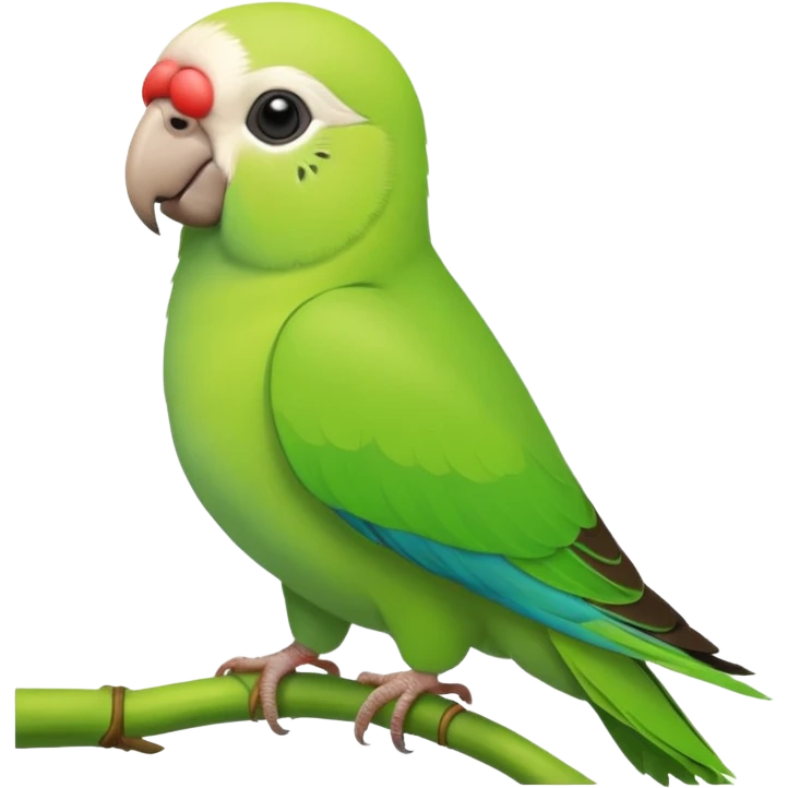 Green Monk parakeet emoji
