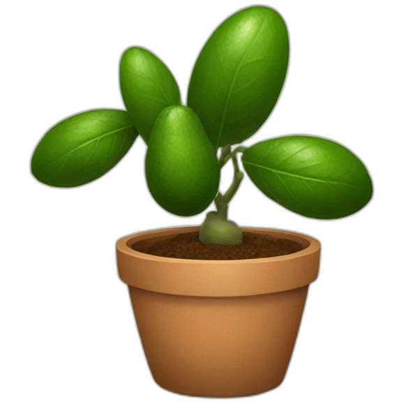 avocado-houseplant-in-pot emoji