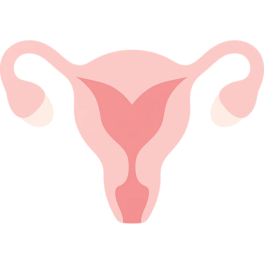 A clean, minimalistic vector illustration of a simplified uterus icon, designed as a stylized flower or heart shape with upward-sweeping fallopian tube 'horns'. Use smooth, well-defined lines with a modern flat design. Apply soft inner shadows and subtle highlights to give depth and gloss without breaking the flat aesthetic. Keep the design centered, symmetrical, and elegant. Transparent background. Color palette: soft pinks, muted reds, and gentle white highlights emoji
