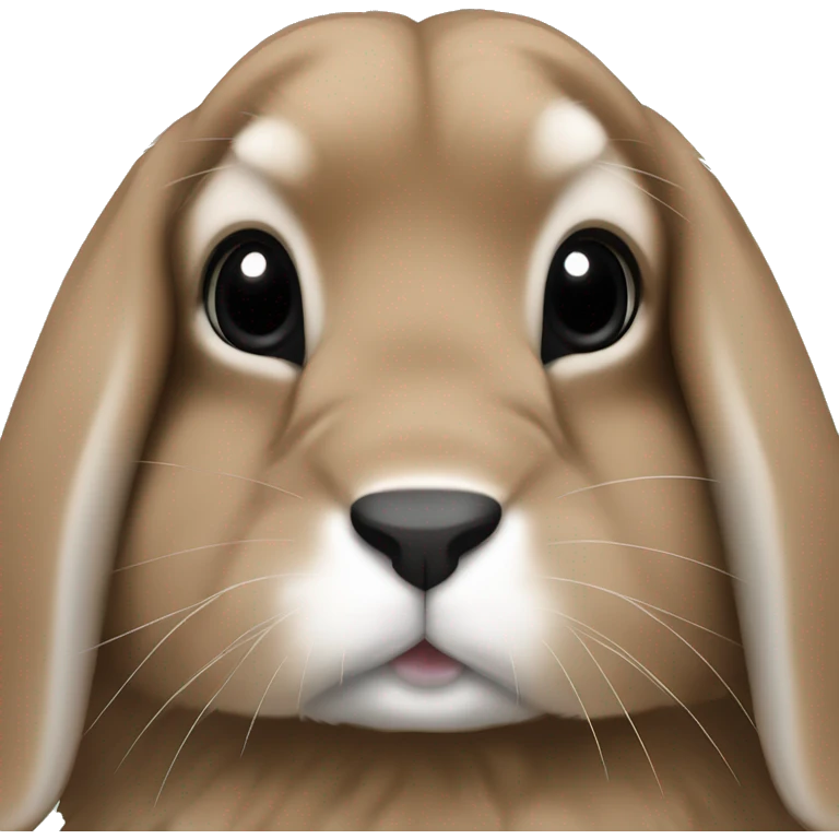brown holland lop bunny with black nose and snout  emoji