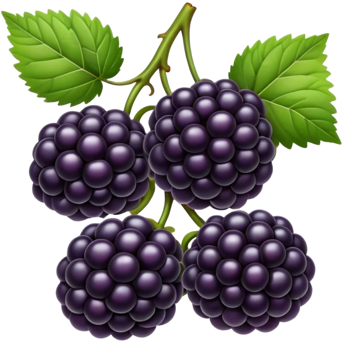 blackberries emoji