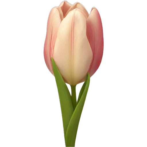 Tulipan emoji