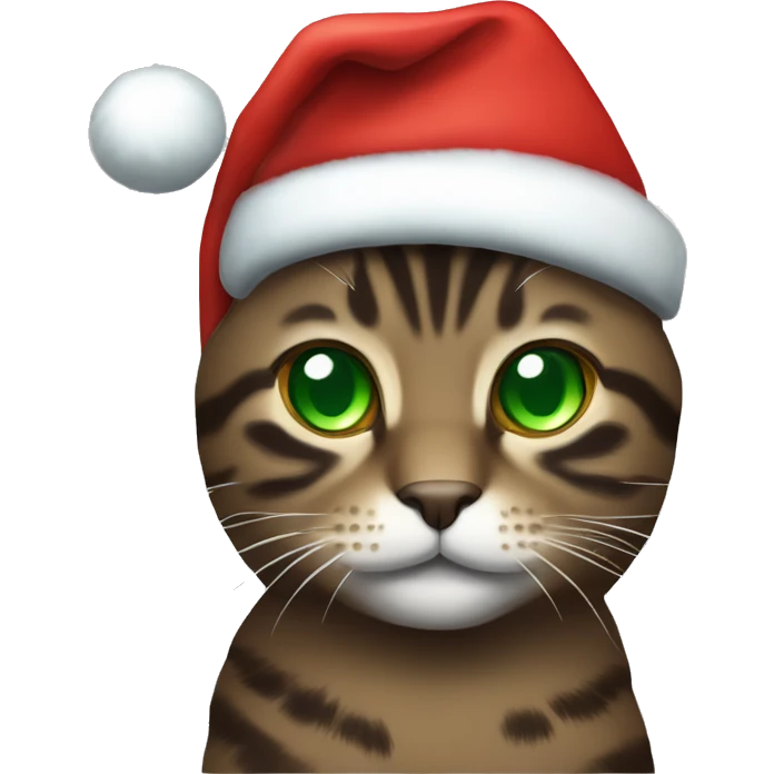 Dark brown tabby cat with green eyes wearing Christmas hat emoji