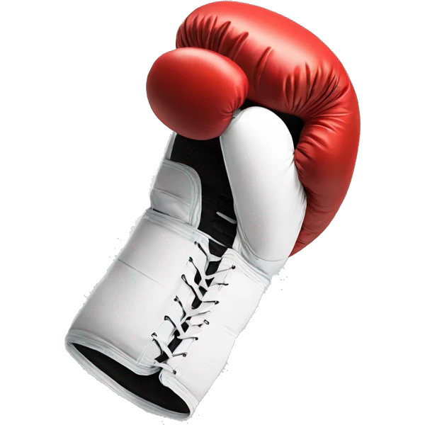 boxing glove emoji