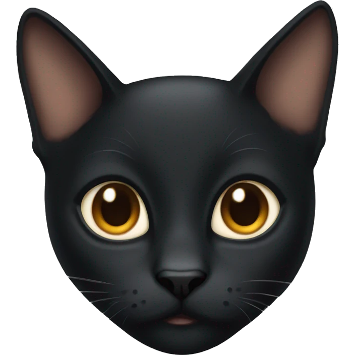 black cat with brown eyes  emoji