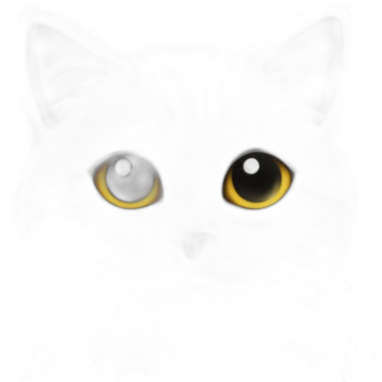 Cat love star Black emoji