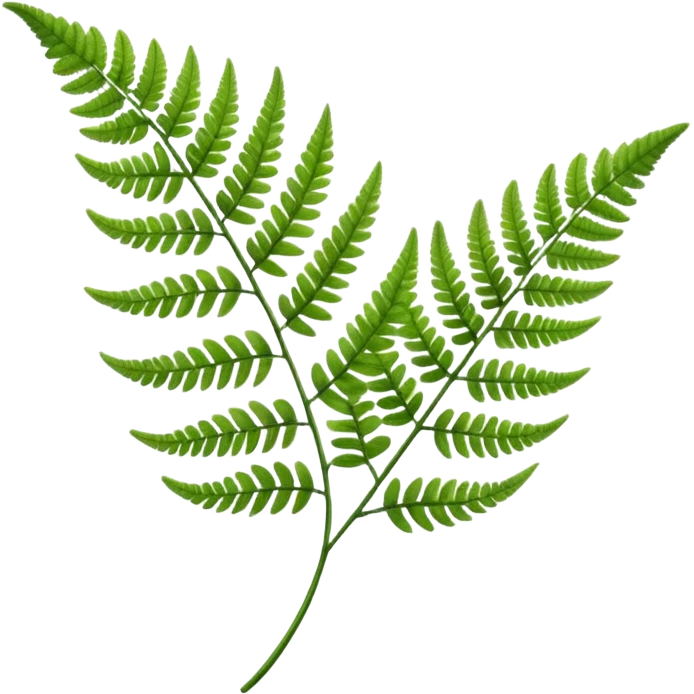 Fern Leaf Emoji emoji