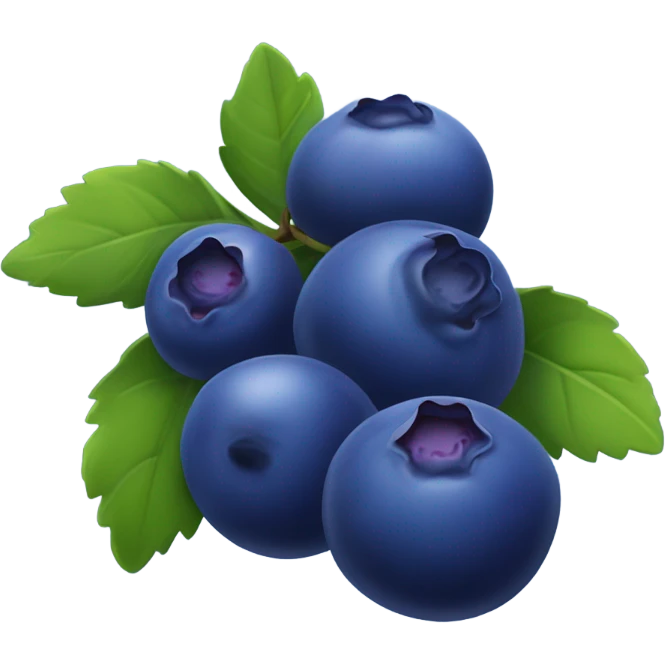 Blueberries  emoji