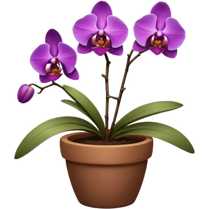 Purple Orchid in a clay pot emoji