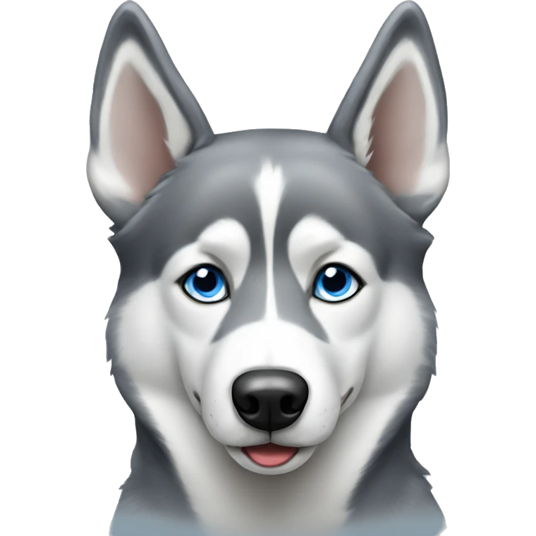 Blue eyed grey husky dog portrait  emoji