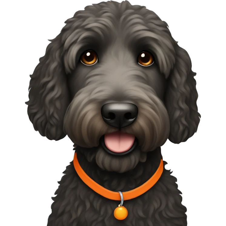 Black straight hair labradoodle with an orange collar emoji