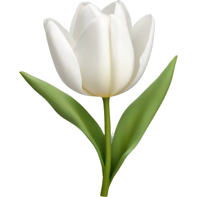 White Tulipan ￼ emoji