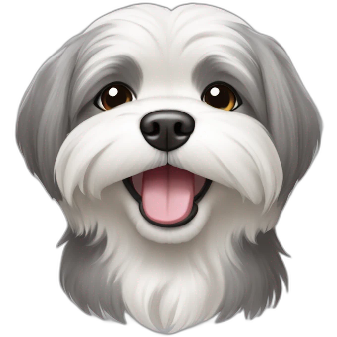 gray and white lhasa apso smiling emoji