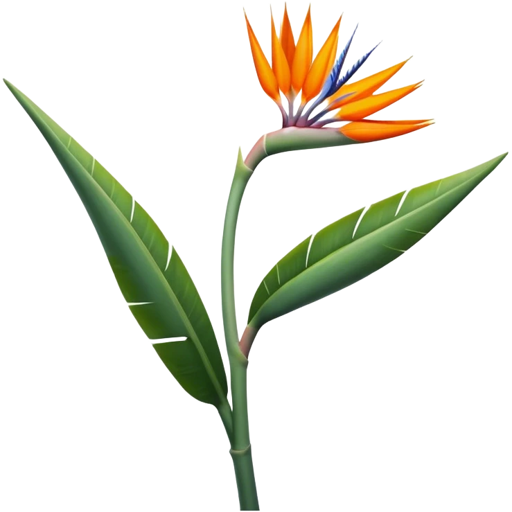 single Strelitzia Reginae, straight stem emoji