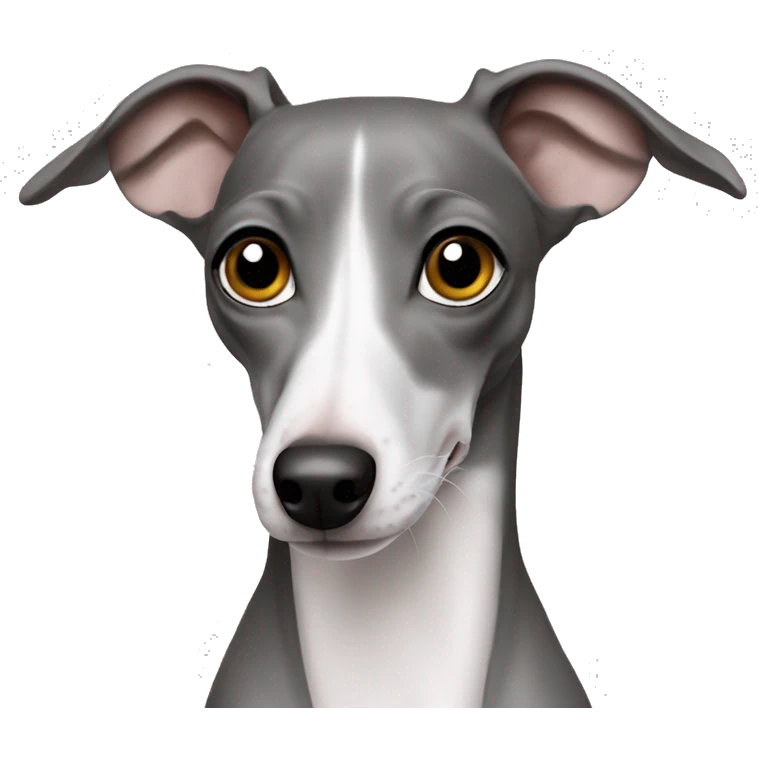 Italian greyhound grey emoji