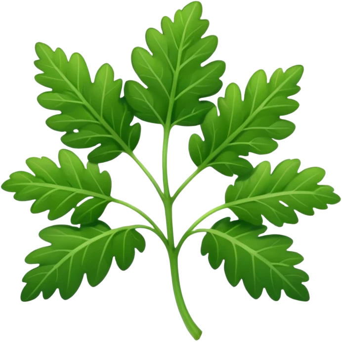 Cilantro  emoji