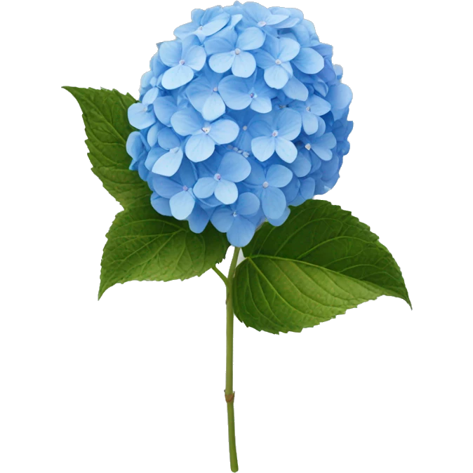 hydrangea blue emoji