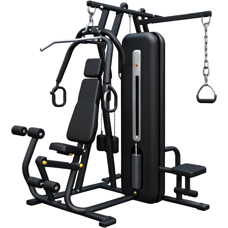 gym cable machine emoji