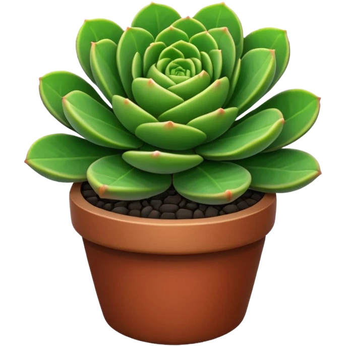 CRASSULA emoji