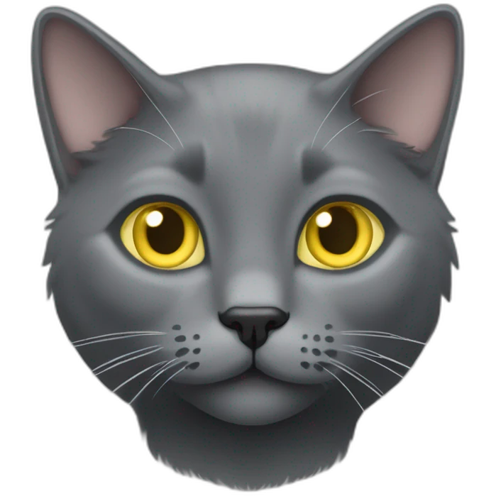 cuddly fluffy grey korat breed cat with yellow eyes black pupils, walking and playing female emoji