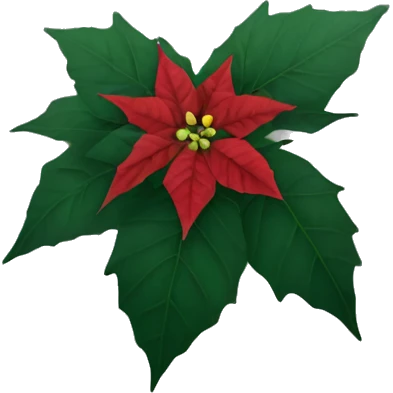 Dying poinsettia plant turning black emoji