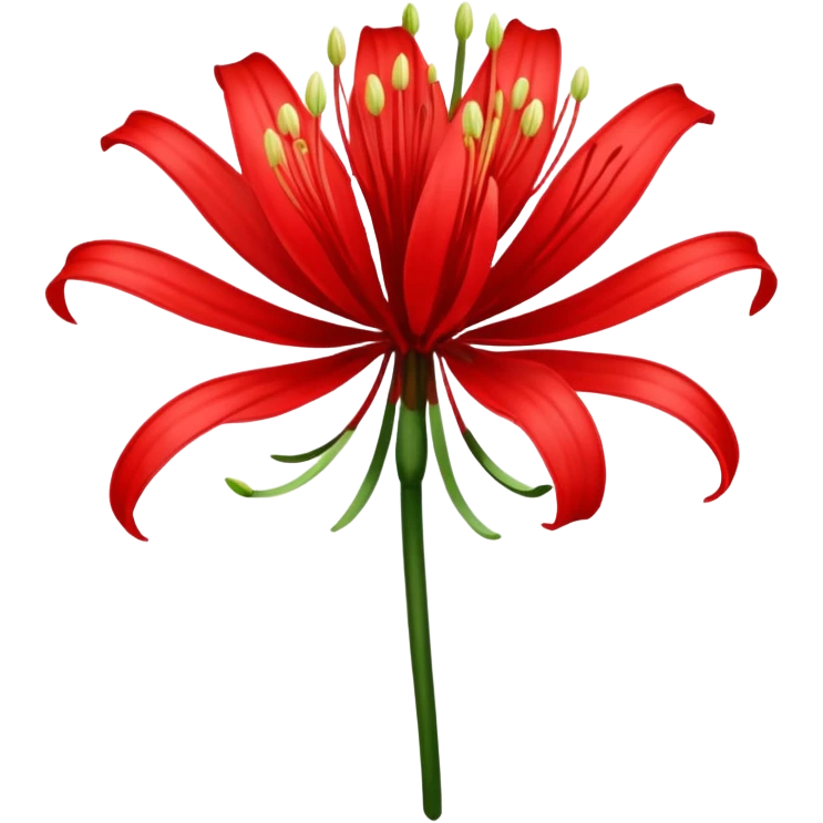 Uma flor de Lycoris radiata emoji