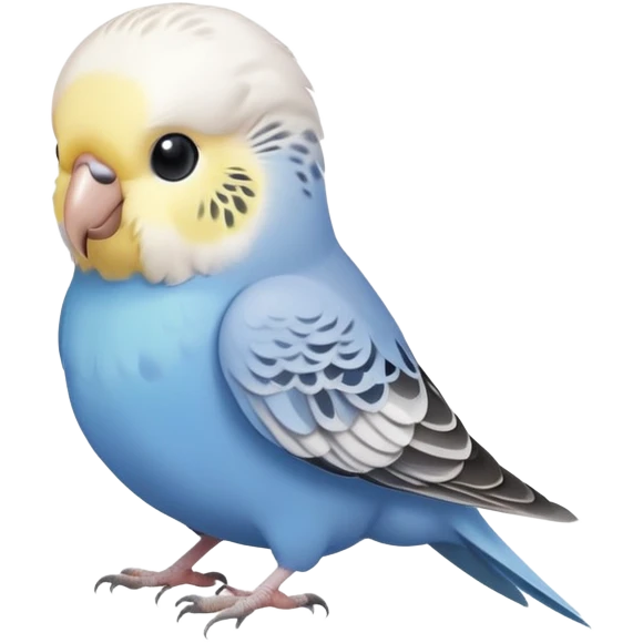 budgie, light grey feathers with a white head emoji