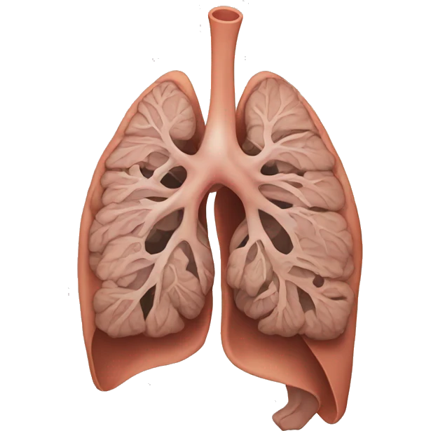 Anatomical Lung  emoji