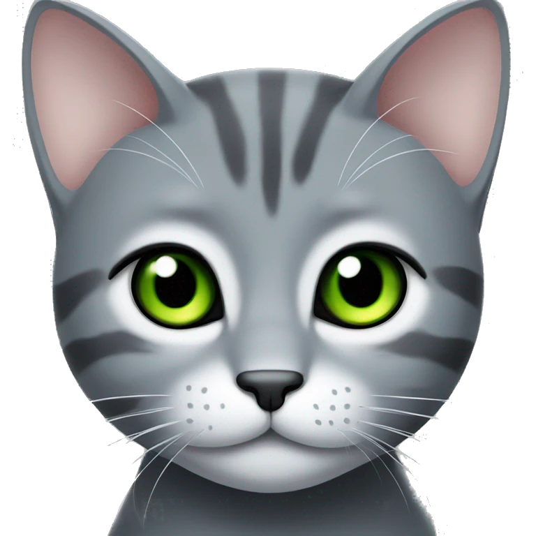 Grey cat whit green eyes  emoji