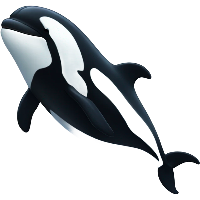 Killer Whale wearing a beanie emoji