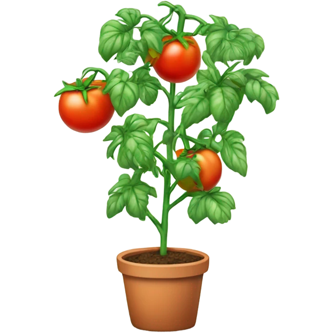 Tomato plant with trellis emoji